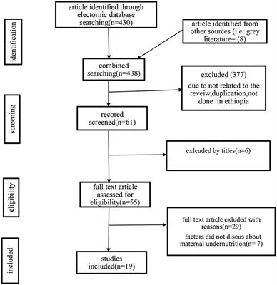 Undernutrition and associated factors among pregnant women in Ethiopia. A systematic review and meta-analysis